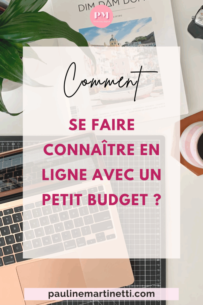 pin-notoriete-budget-limite-2